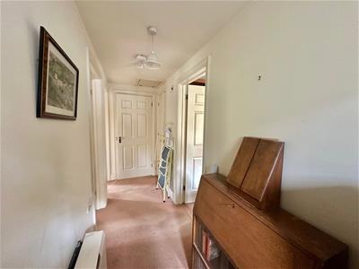 Picture 14
